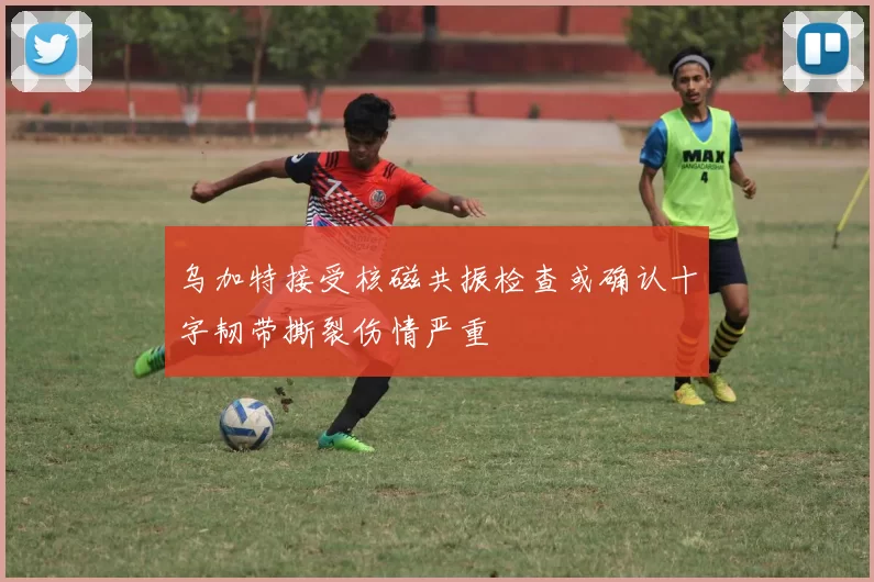 乌加特接受核磁共振检查或确认十字韧带撕裂伤情严重