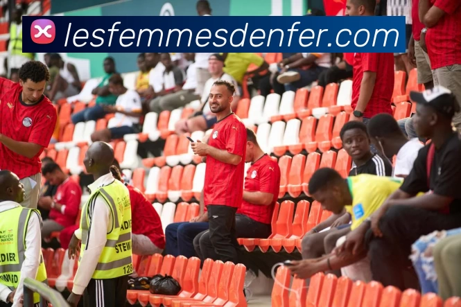 奖项证书